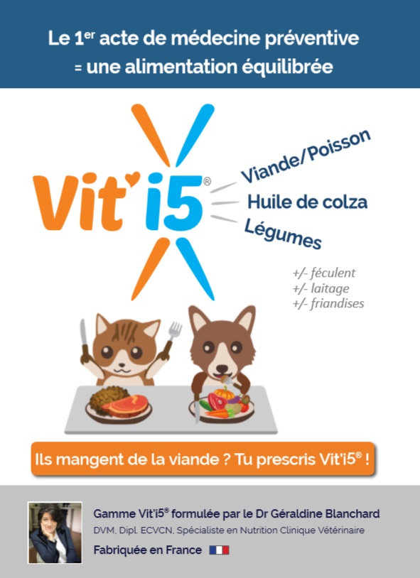 Vit'i5 flyer