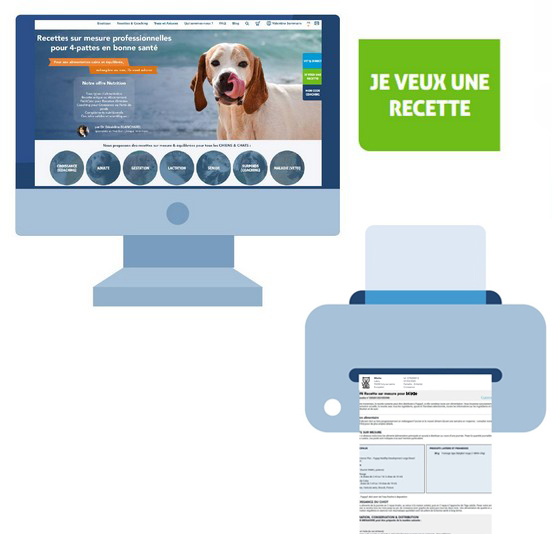 growth coaching for a kitten