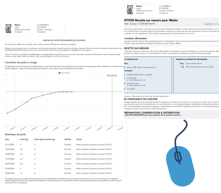 Suivi coaching  croissance chaton