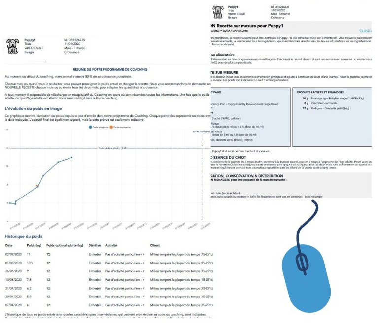 Suivi coaching croissance chiot