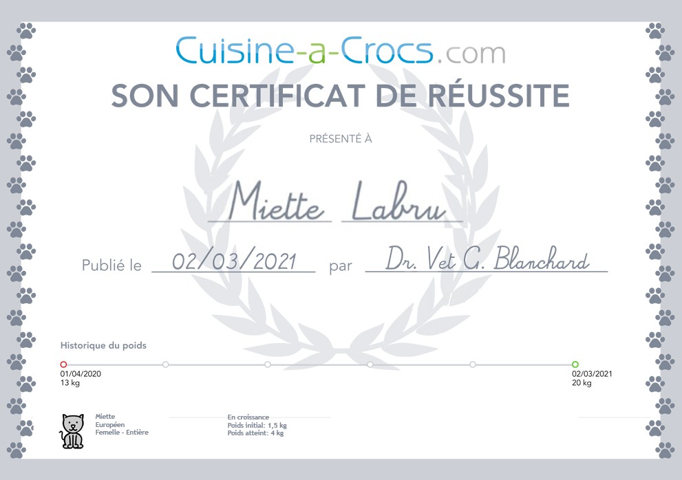 Certificat de réussite pour un coaching croissance pour chaton