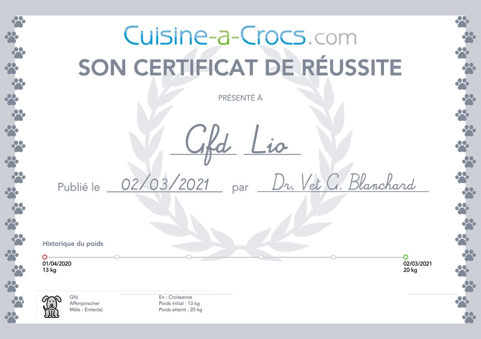 Diplôme de réussite croissance chiot