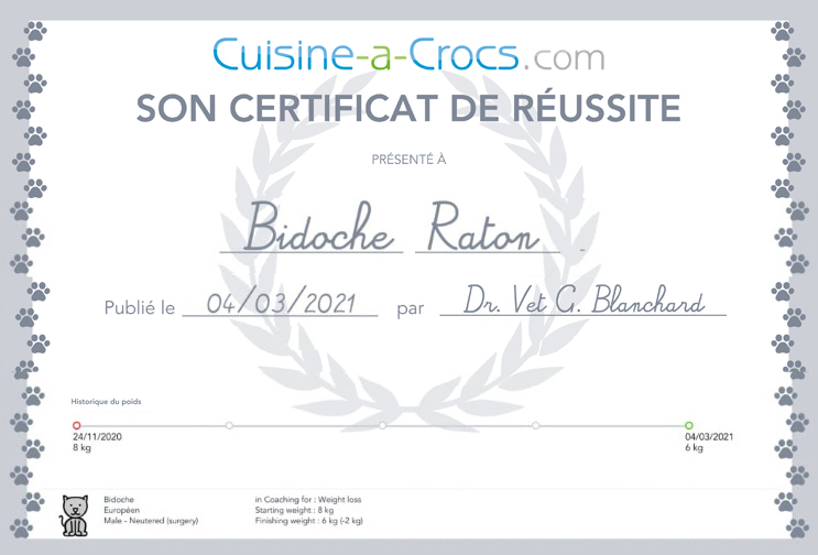 weight loss certificate for a cat