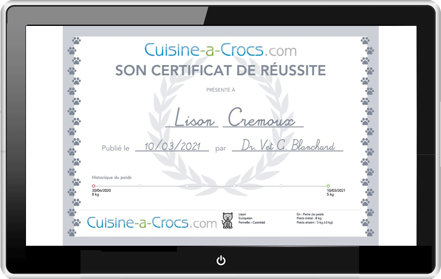 Certificat de réussite coaching perte de poids chat