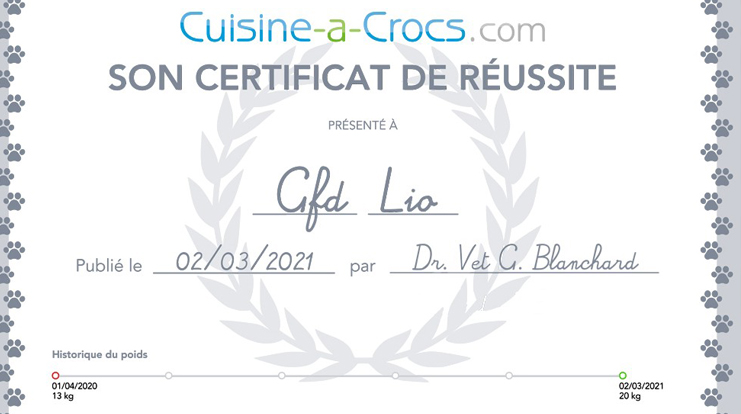 Certificat de réussite coaching croissance chien