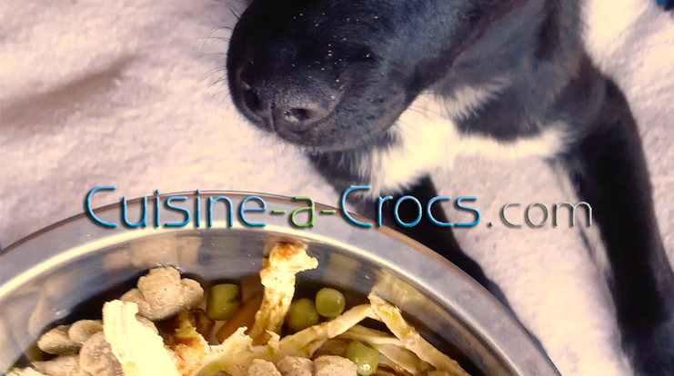 coaching croissance cuisine-a-crocs