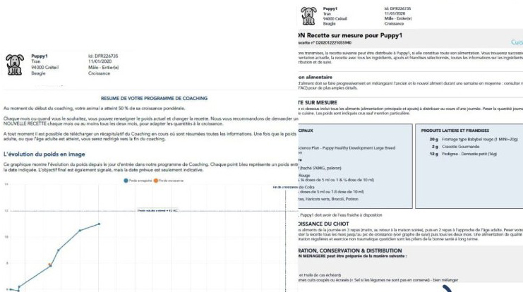 suivi coachign et recette croissance