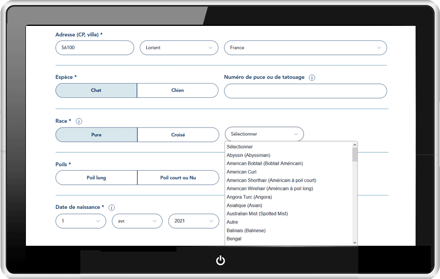 Création d'un animal - chat en surpoids - choix de la race sur ordinateur