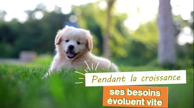 coaching croissance cuisine-a-crocs