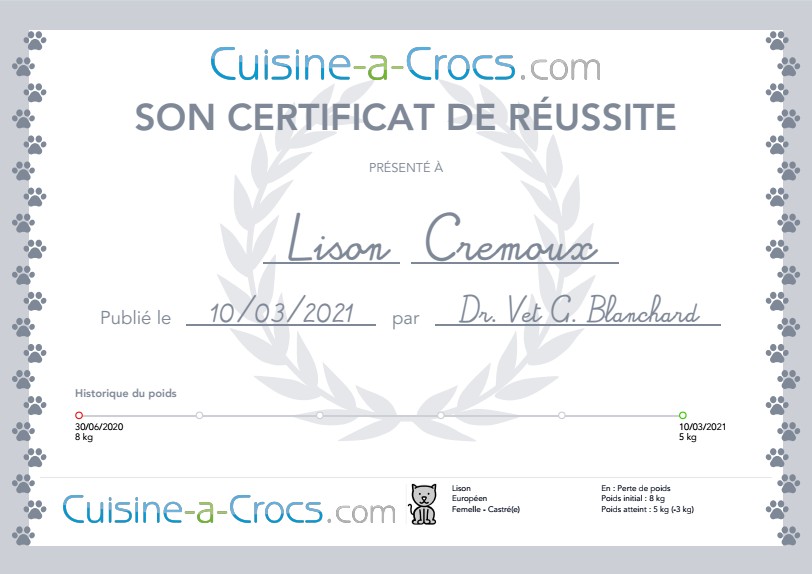 Certificat de réusiite du coaching surpoids pour un chat
