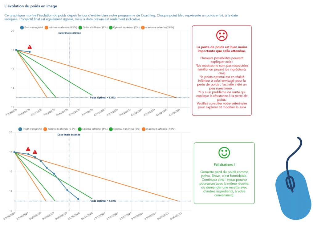 coaching perte de poids cuisine-a-crocs