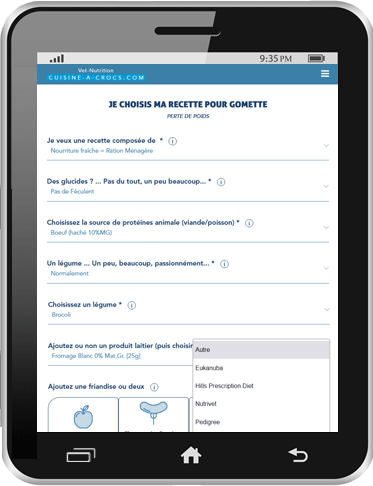 Ingrédients d'une recette de ration ménagère pour un chien en surpoids - tablette