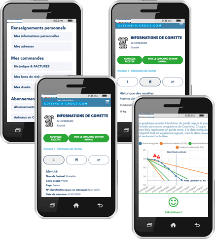 Coaching surpoids pour chien Cuisine-a-crocs: suivi sur version mobile