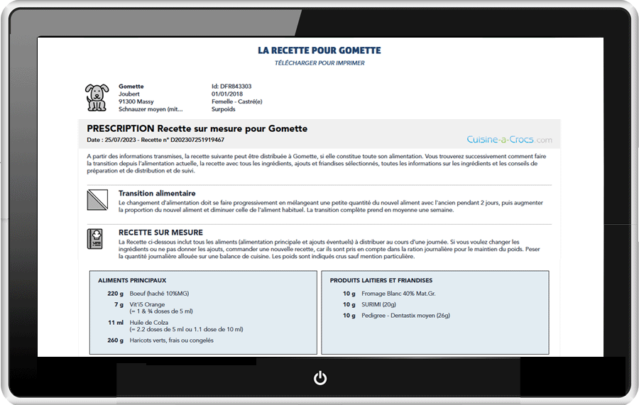 Recette de ration ménagère, avec laitage et friandises, pour un chien en surpoids