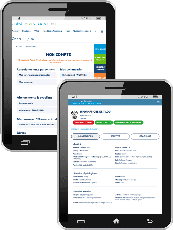 Mon compte cuisine-a-crocs: les informations de mon chiot en croissance