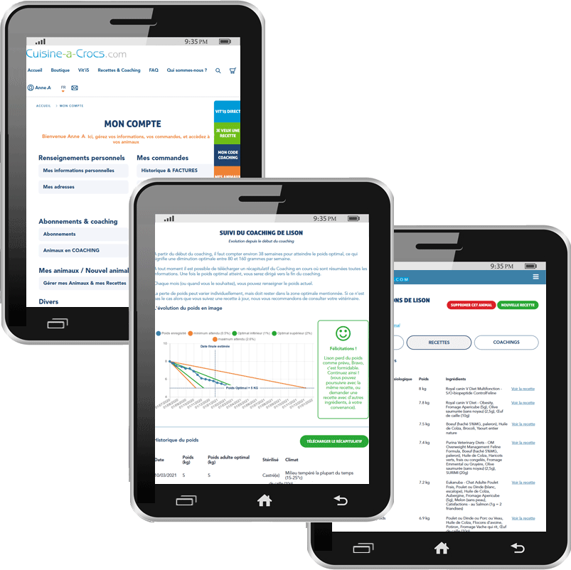 Suivi Coaching pour un chat en surpoids - Mon compte sur tablette