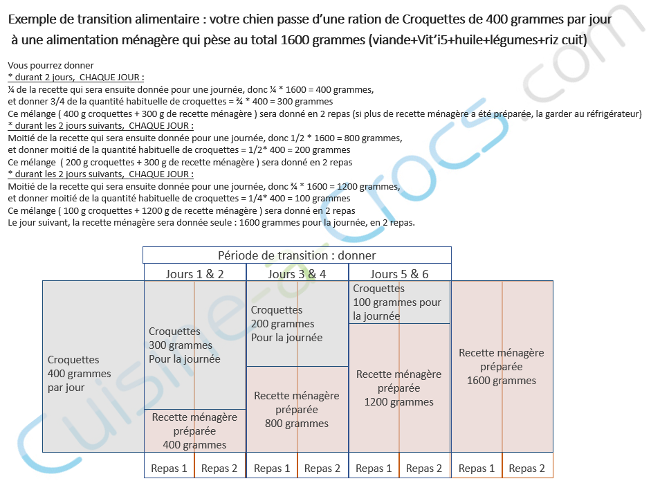 transition alimentaire cuisine-a-crocs