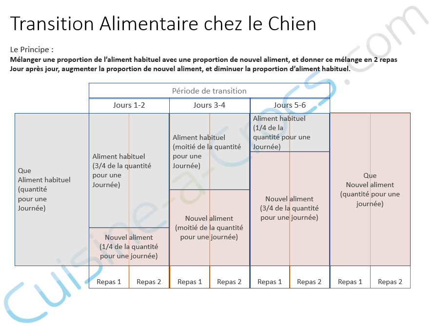 conseils transition alimentaire cuisine-a-crocs