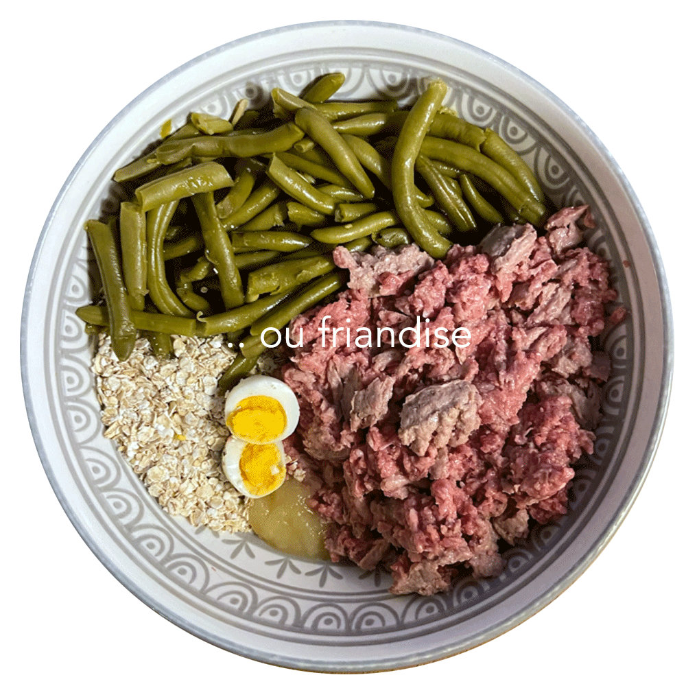 ration ménagère chien cuisine-a-crocs