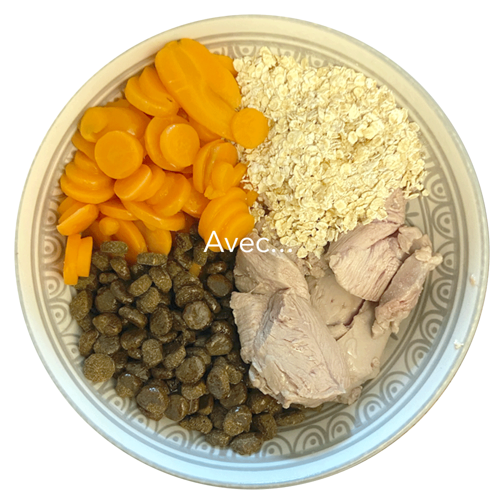 ration mixte chien cuisine-a-crocs