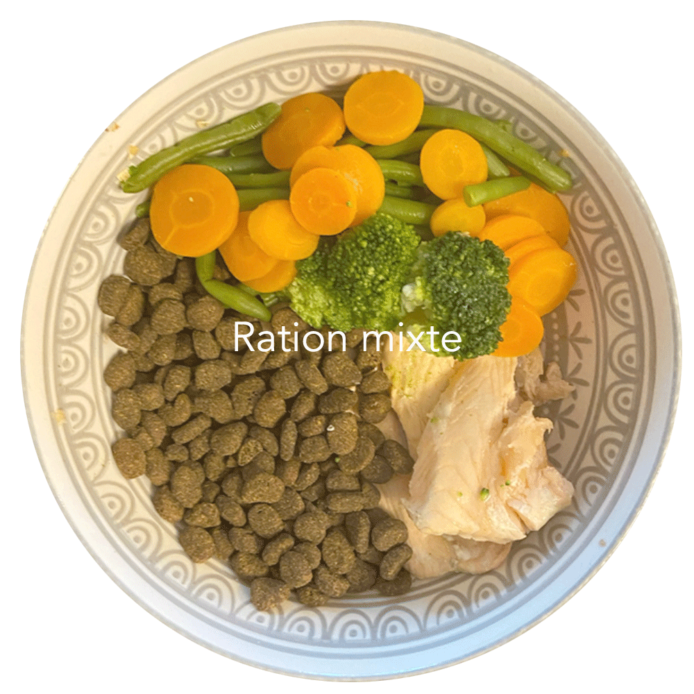 ration mixte cuisine-a-crocs