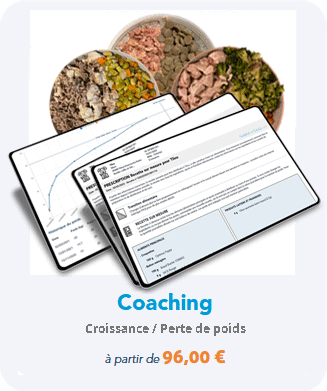 coaching croissance ou surpoids cuisine-a-crocs