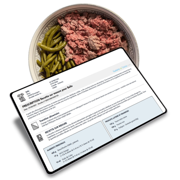 Exemple de recette ménagère pour un chien