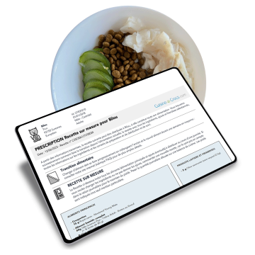 Exemple de recette mixte pour un chat