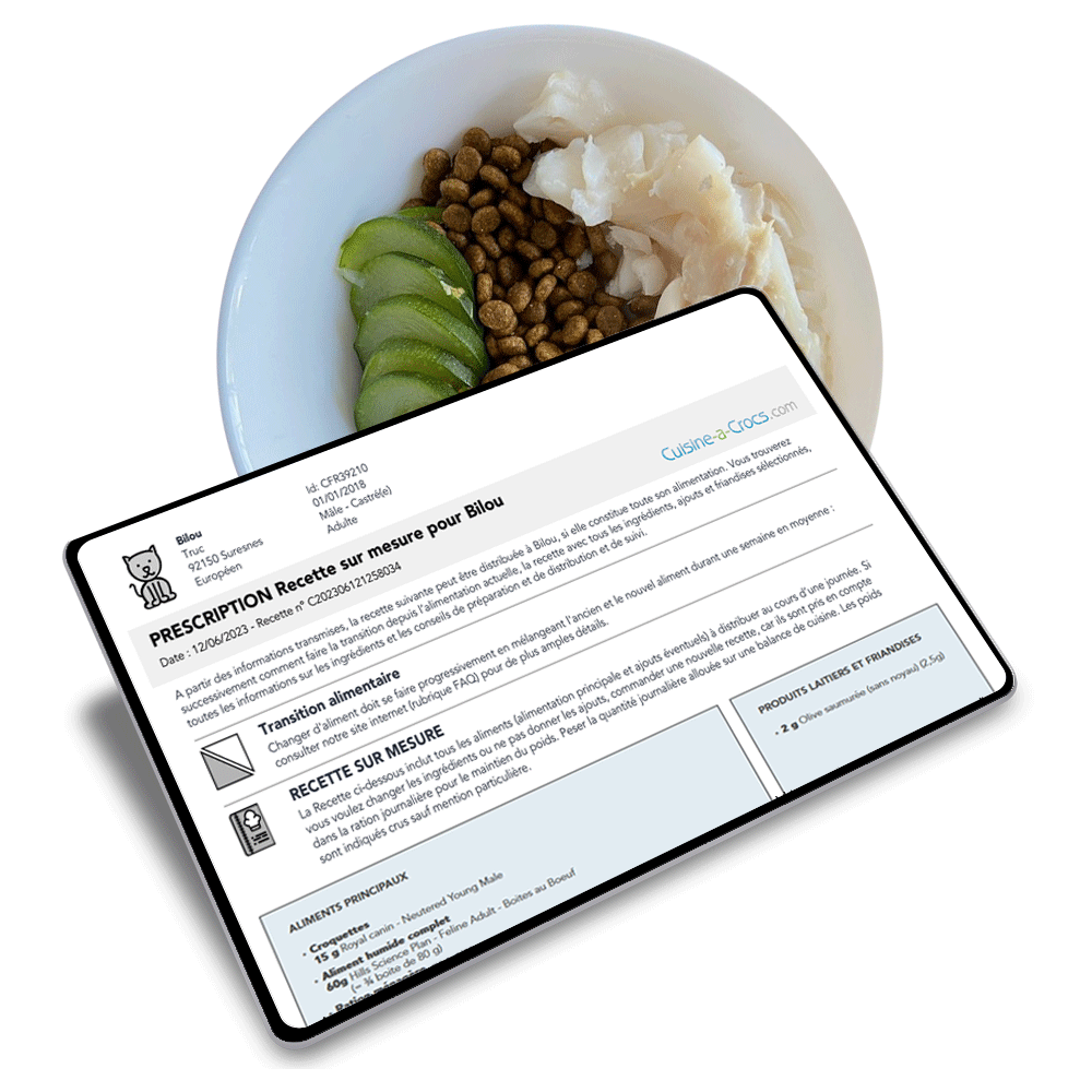 recette pour un chat cuisine-a-crocs