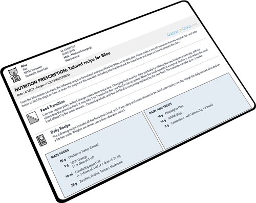 Tailored recipe for a cat