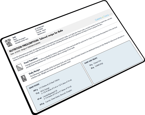 Tailored recipe for a dog