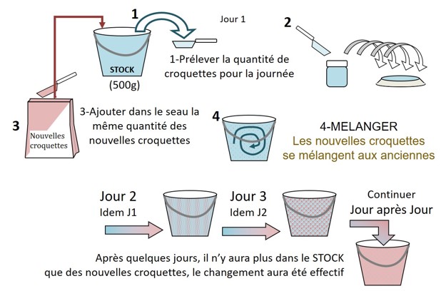 transition alimentaire chien